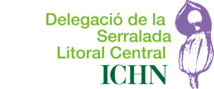 DSLC-logo2024